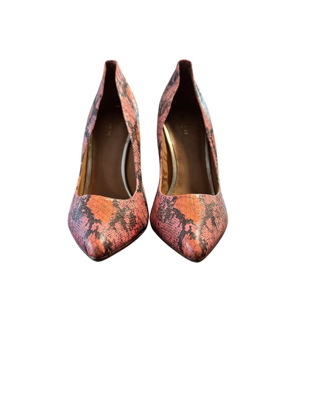 COACH Women's Coral Snake-Print Pointed Toe Pumps